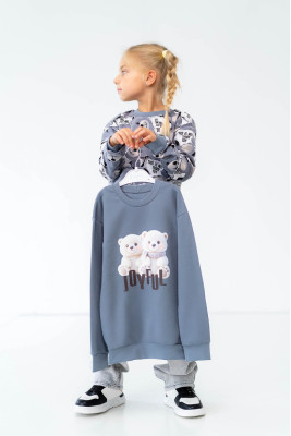 Комплект для дівчаток з 2-х світшотів 